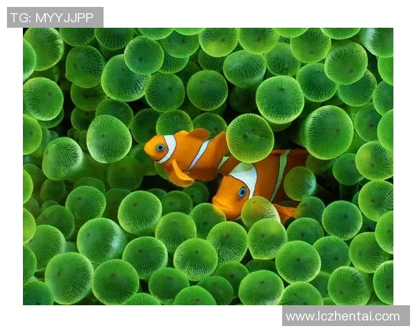 当足球明星化身老人体验生活的奇妙旅程与感悟